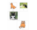 lesson image