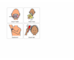 lesson image