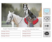 lesson image