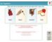 lesson image