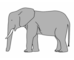 lesson image