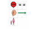 lesson image