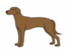 lesson image