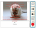 lesson image