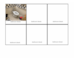 lesson image