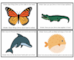 lesson image