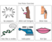 lesson image