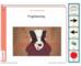lesson image