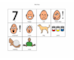 lesson image