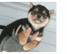 lesson image