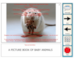 lesson image