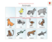 lesson image