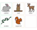 lesson image