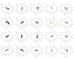 lesson image