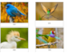 lesson image