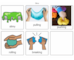 lesson image