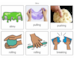 lesson image
