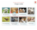 lesson image