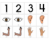lesson image