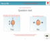 lesson image