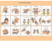 lesson image