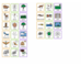 lesson image