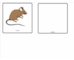 lesson image