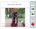 lesson image