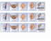 lesson image