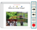 lesson image
