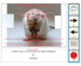 lesson image