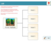 lesson image